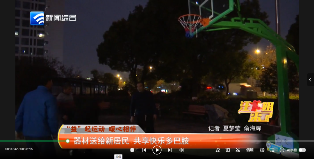 維羅納對塞