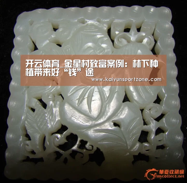 开云官方网站