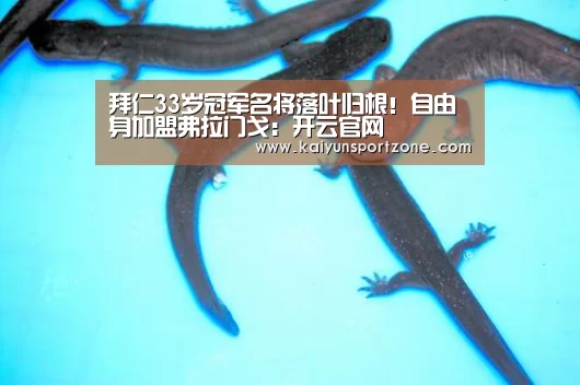开云官方网站