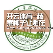 开云官方网站