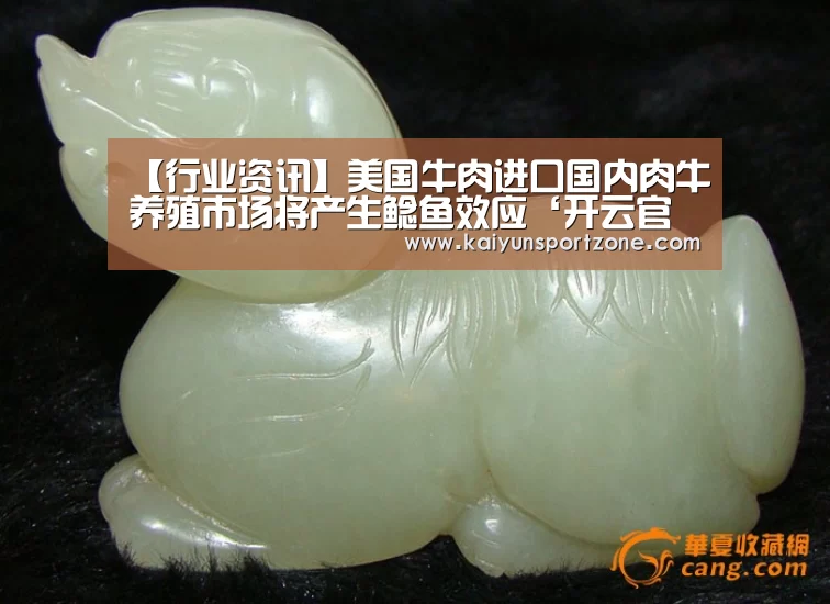 开云官方网站