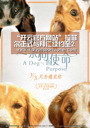 开云官方网站