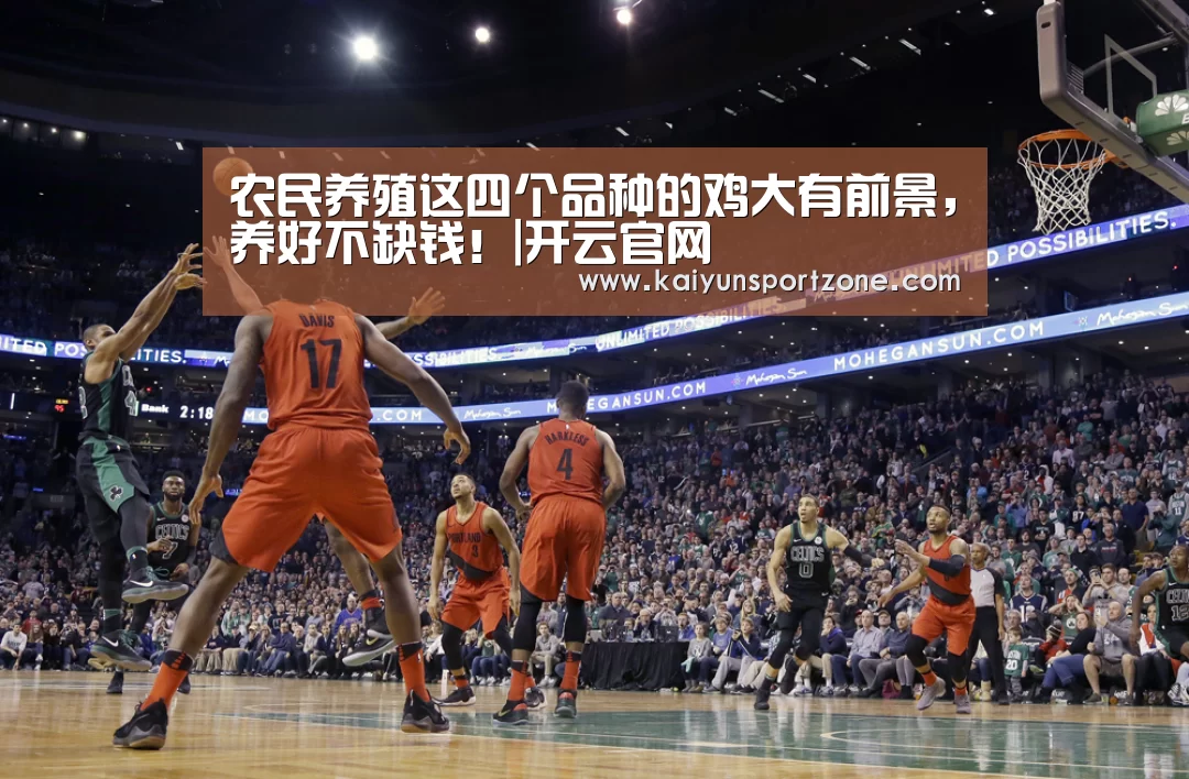 开云官方网站
