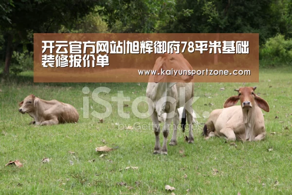 开云官网
