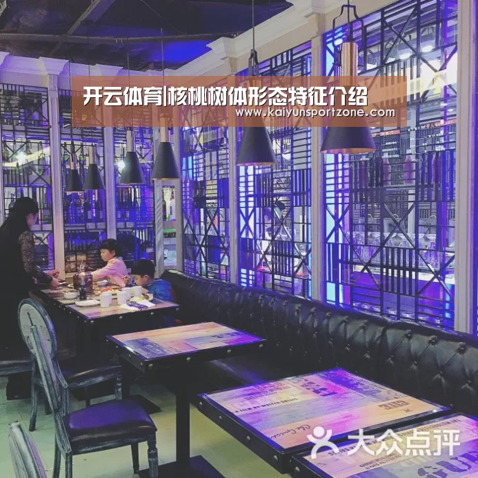 开云体育|核桃树体形态特征介绍(图1) 开云官方网站