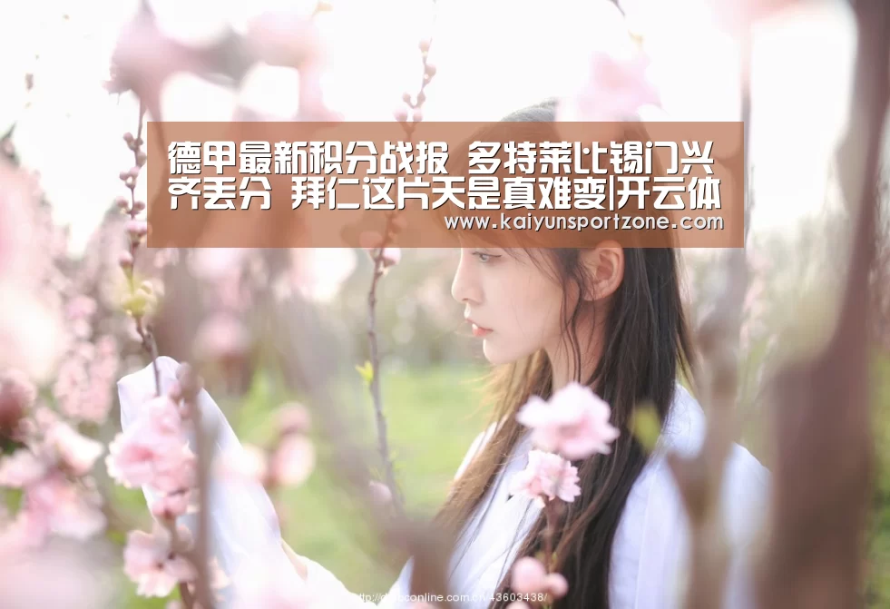 开云官方网站