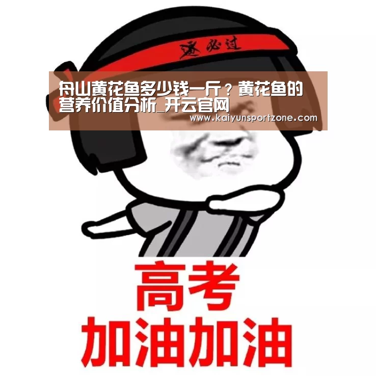 开云官方网站