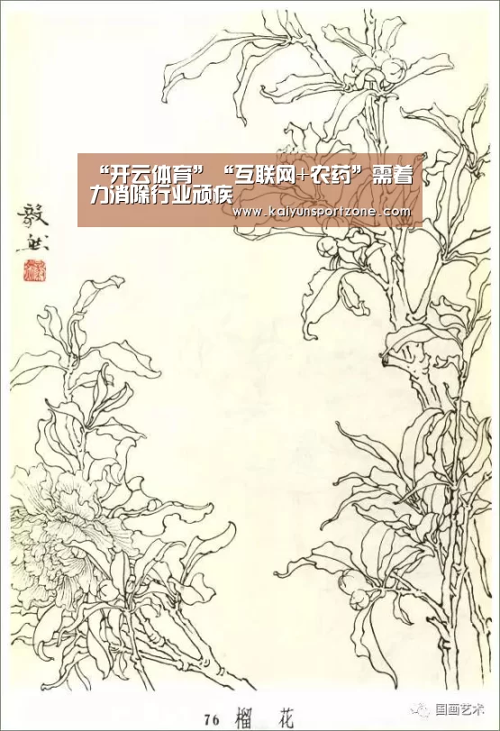 “开云体育”“互联网+农药”需着力消除行业顽疾(图2) 开云