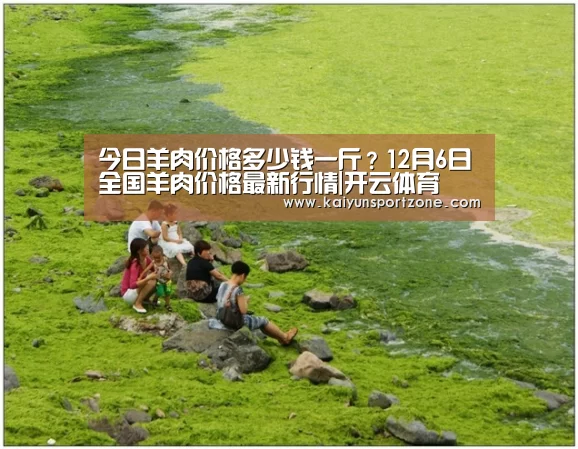 开云体育