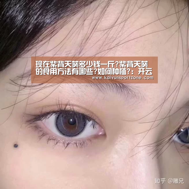 开云体育