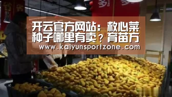 开云官方网站:救心菜种子哪里有卖?育苗方法有哪些?(图1) 开云官方网站